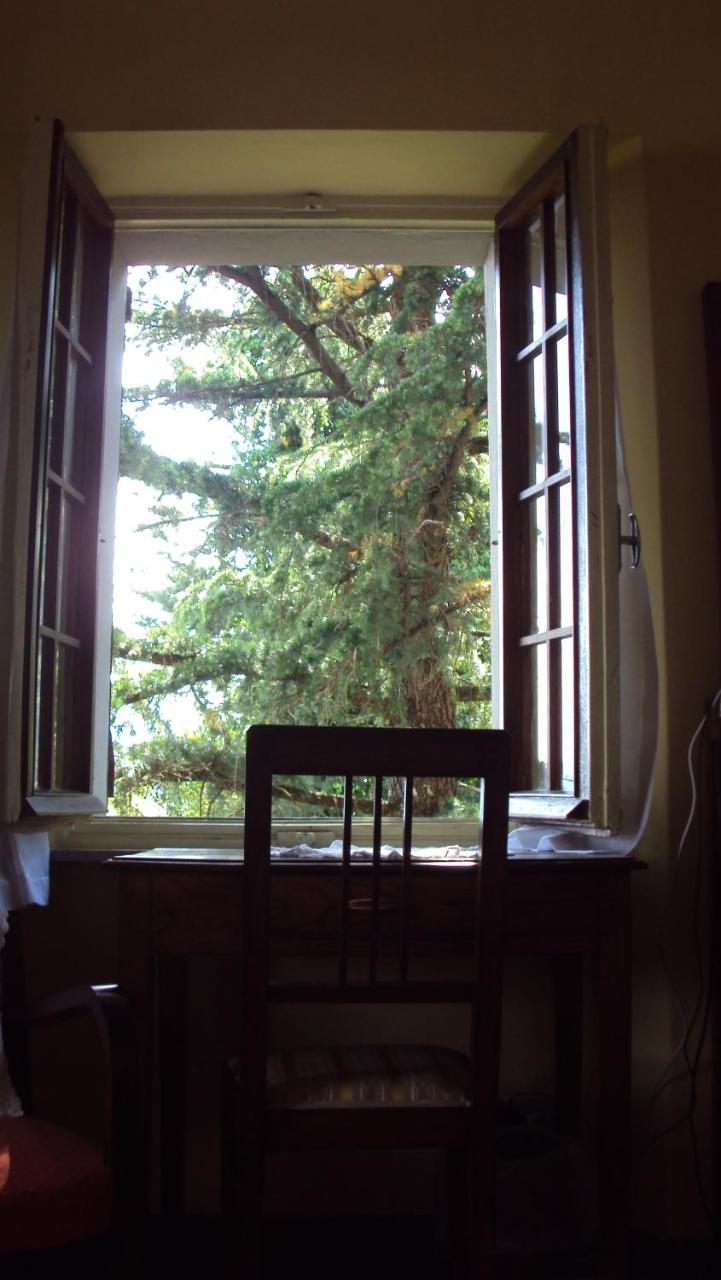 Albergo La Baita Corfino Rom bilde